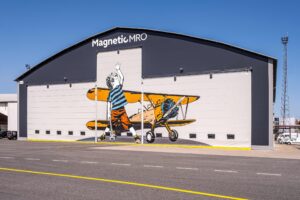 fabric fold-up hangar door